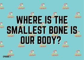 Where is the smallest bone in our body?