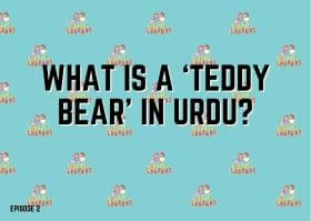 What is a ‘Teddy Bear’ in Urdu?