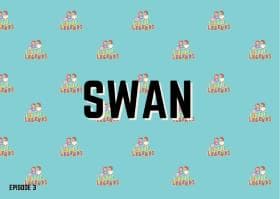 Swan