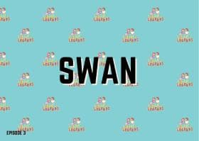 Swan