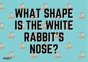 What shape is the white rabbit’s nose?