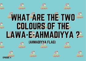 What type of behaviour is it when an animal sleeps during the day and is awake at night, like an owl?