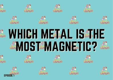 Which metal is the most magnetic?