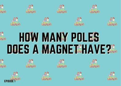 How many poles does a magnet have?