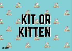 Kit or Kitten