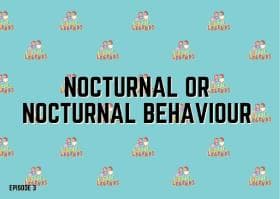 Nocturnal or Nocturnal Behaviour