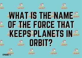 What type of food does a herbivore NOT eat?